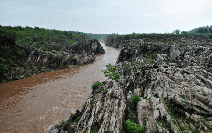 नर्मदा नदी की प्राचीनता को प्रमाणित करते लाखों वर्ष पुराने जीवाश्म