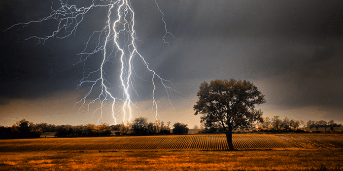 बिहार और यूपी में बिजली गिरने से कई लोगों की मौत